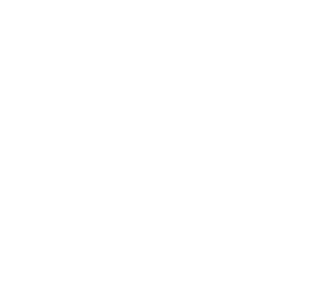 SmartCricket